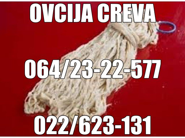 OVCIJA CREVA 188