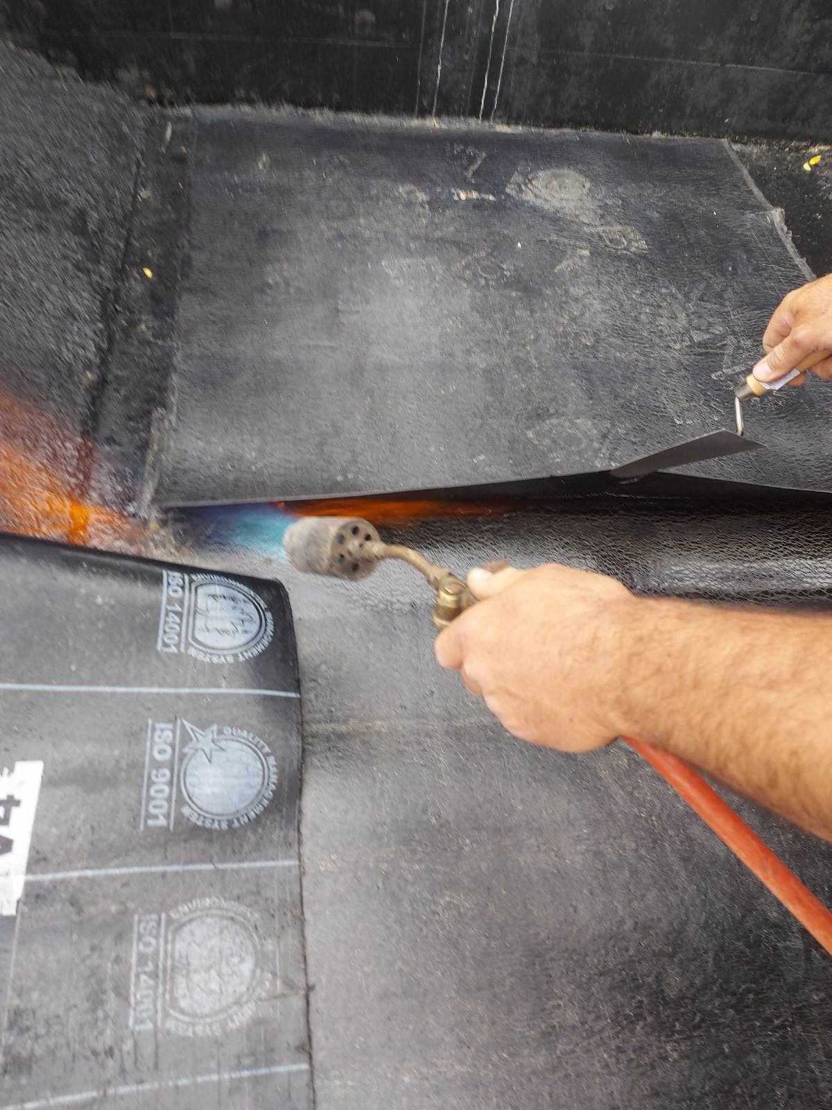 420202209_689838853041965_7599257273232758769_n