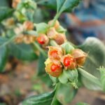 viber_slika_2025-07-15_22-10-20-137