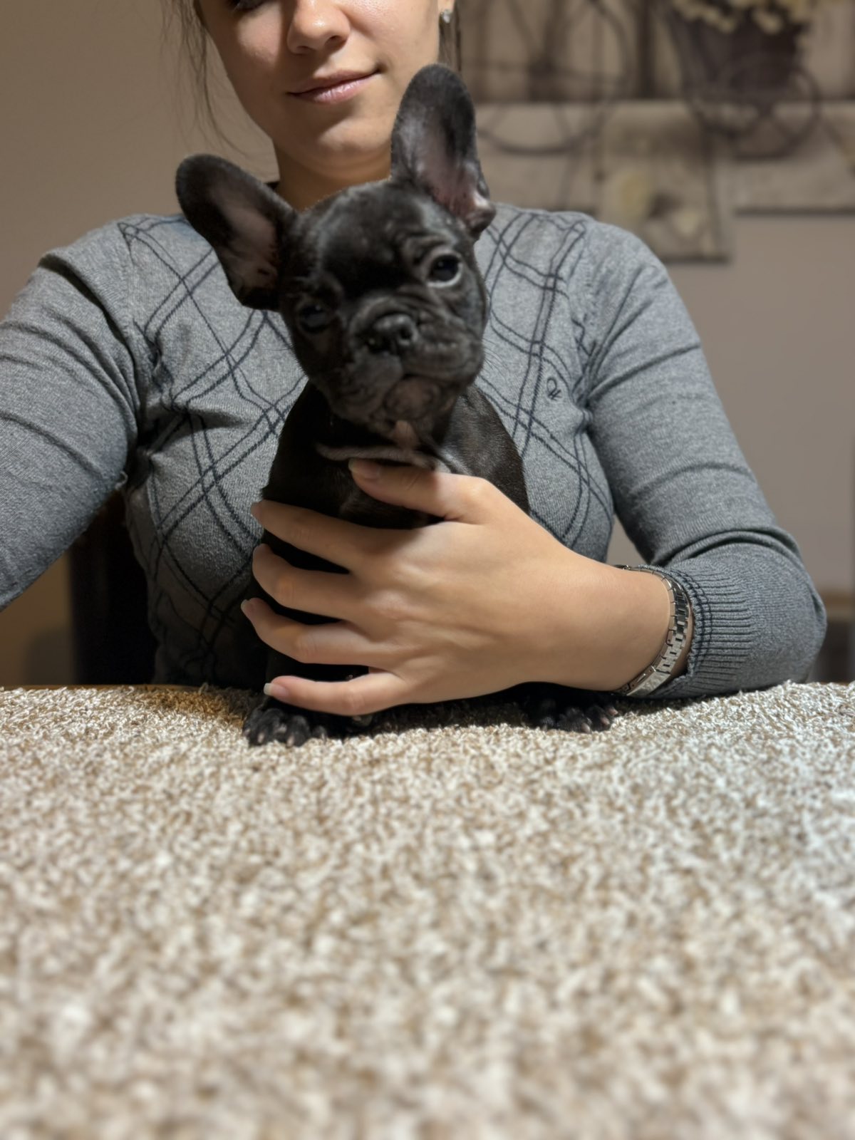 viber_slika_2025-11-13_23-15-47-362