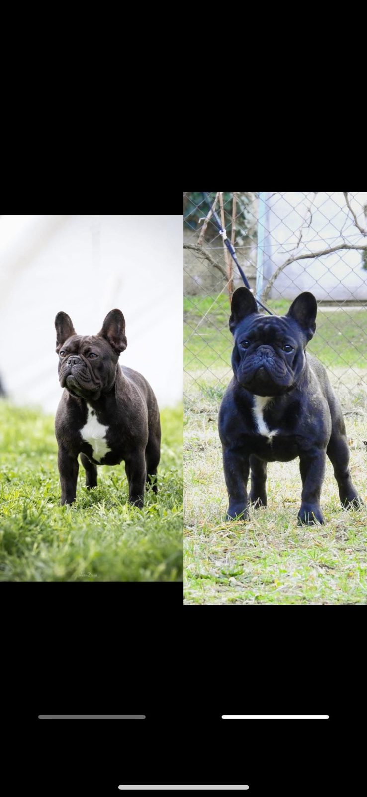 viber_slika_2025-11-13_23-20-20-571