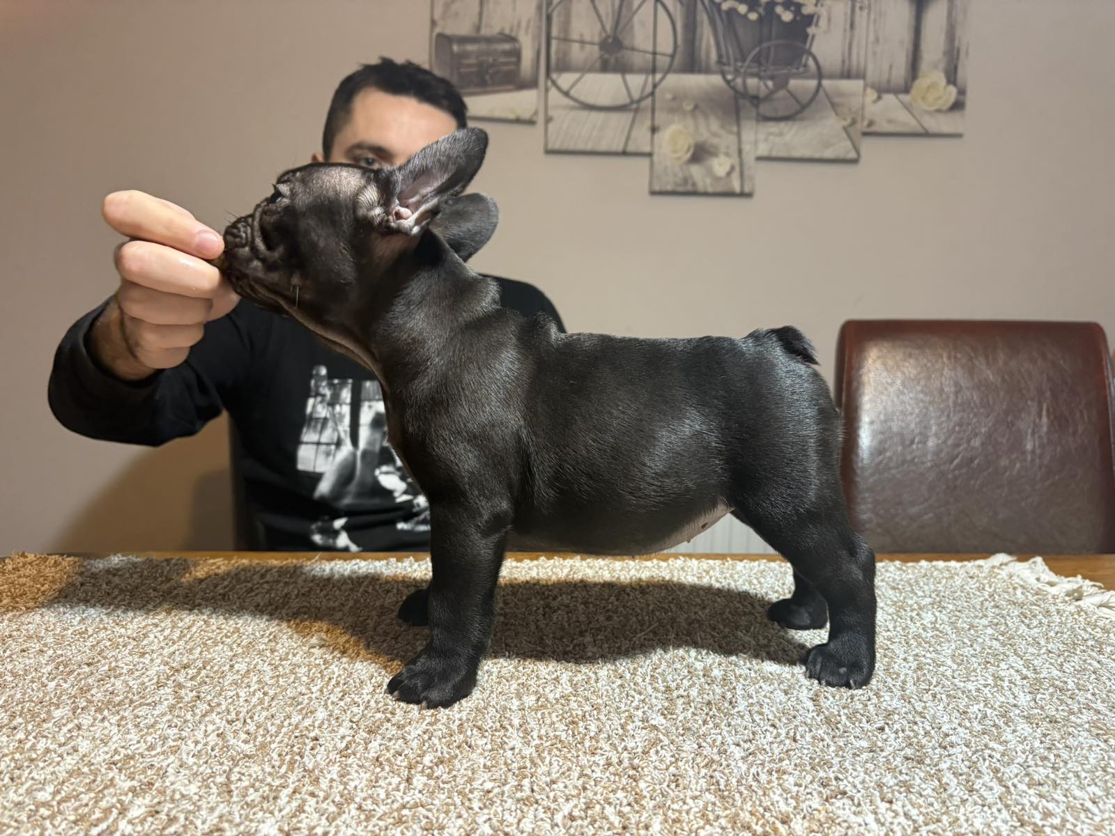 viber_slika_2025-11-13_23-15-47-993