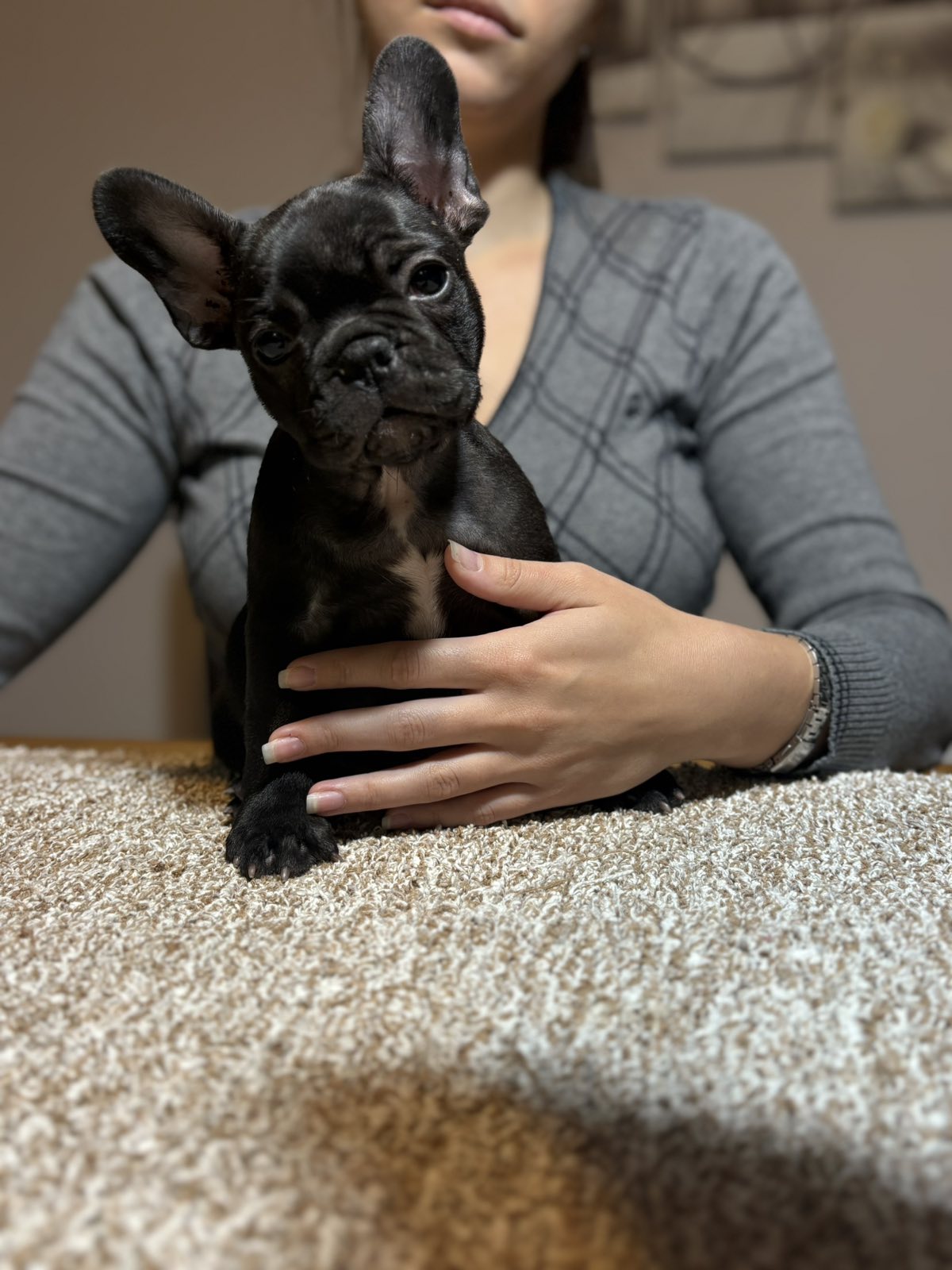 viber_slika_2025-11-13_23-15-46-485