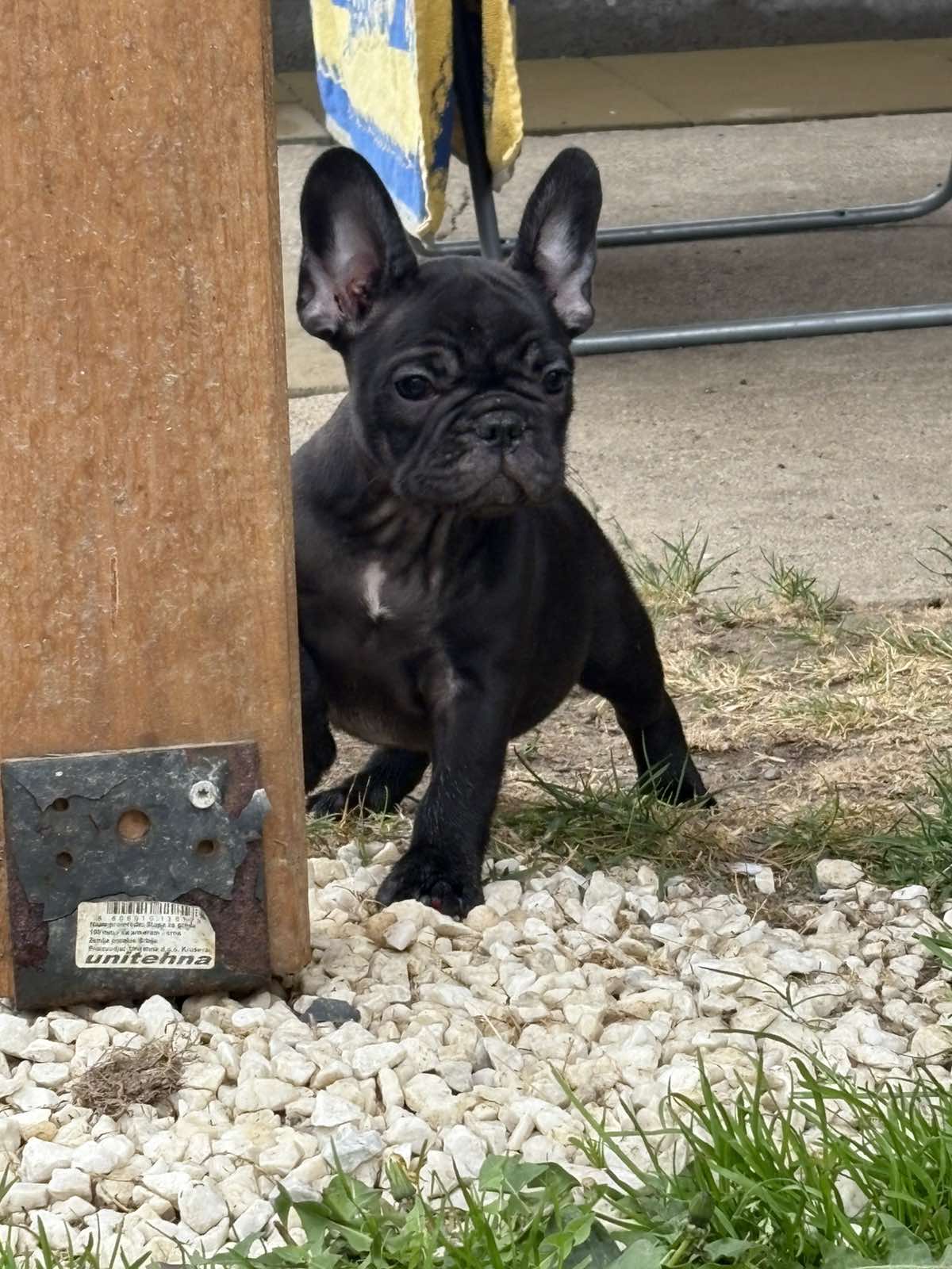 viber_slika_2025-11-13_23-15-46-084