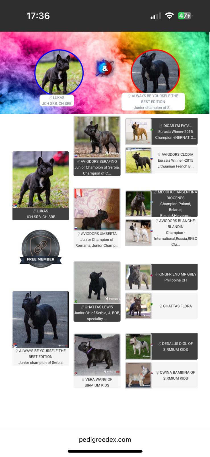 viber_slika_2025-11-13_23-19-56-340