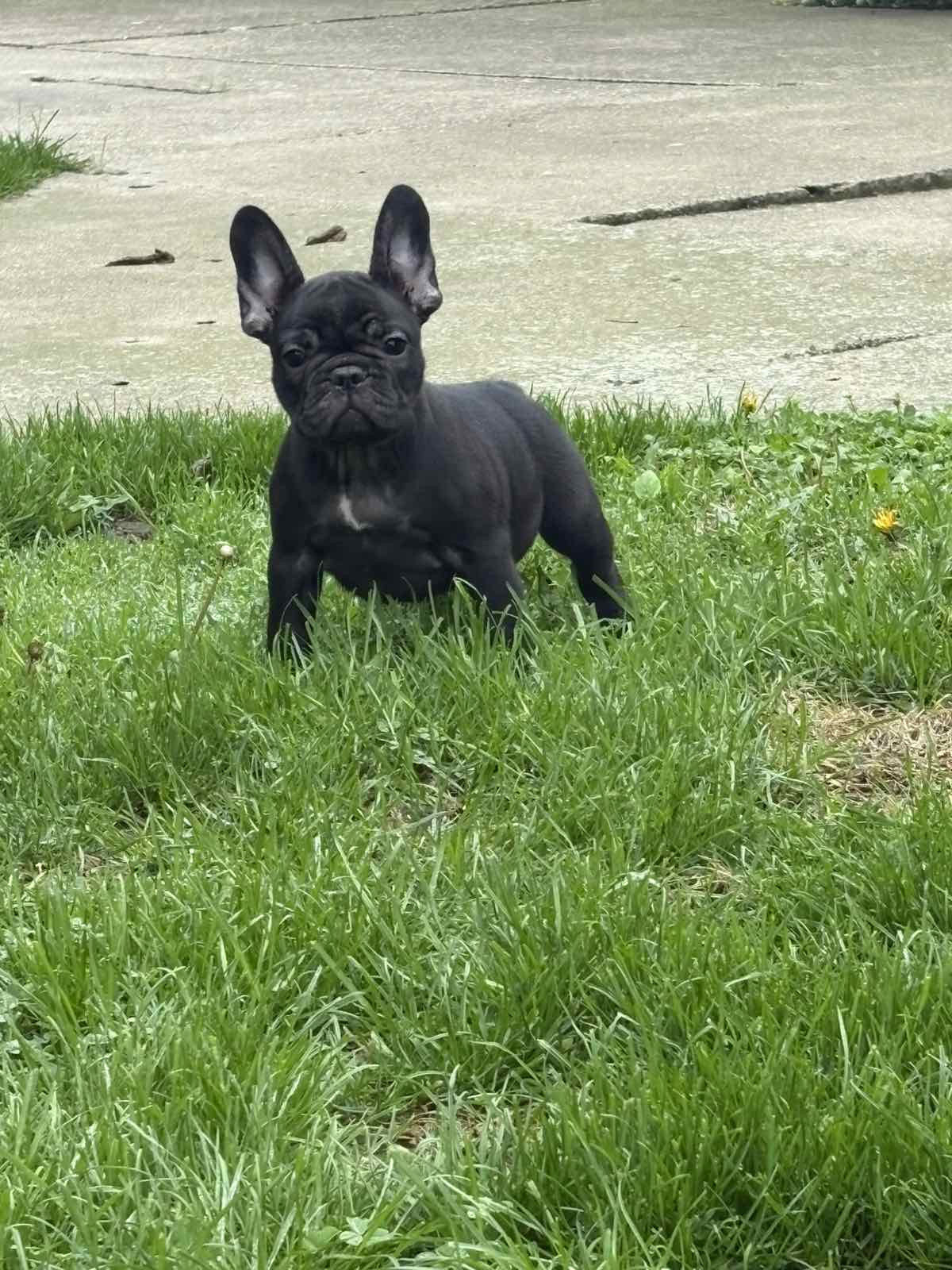 viber_slika_2025-11-13_23-15-45-824