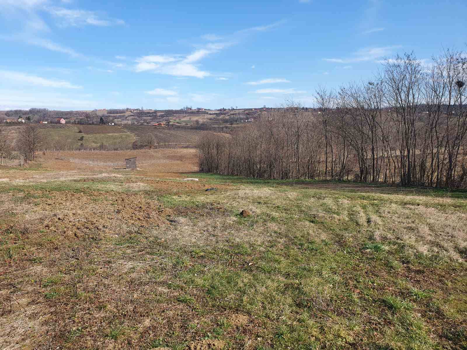 313107664_455635096639431_8046695040395987398_n