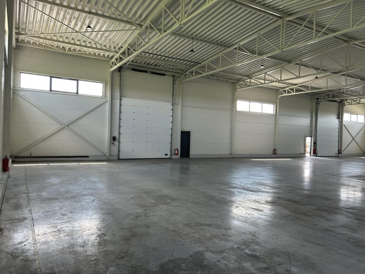 viber_image_2026-03-05_19-29-13-925